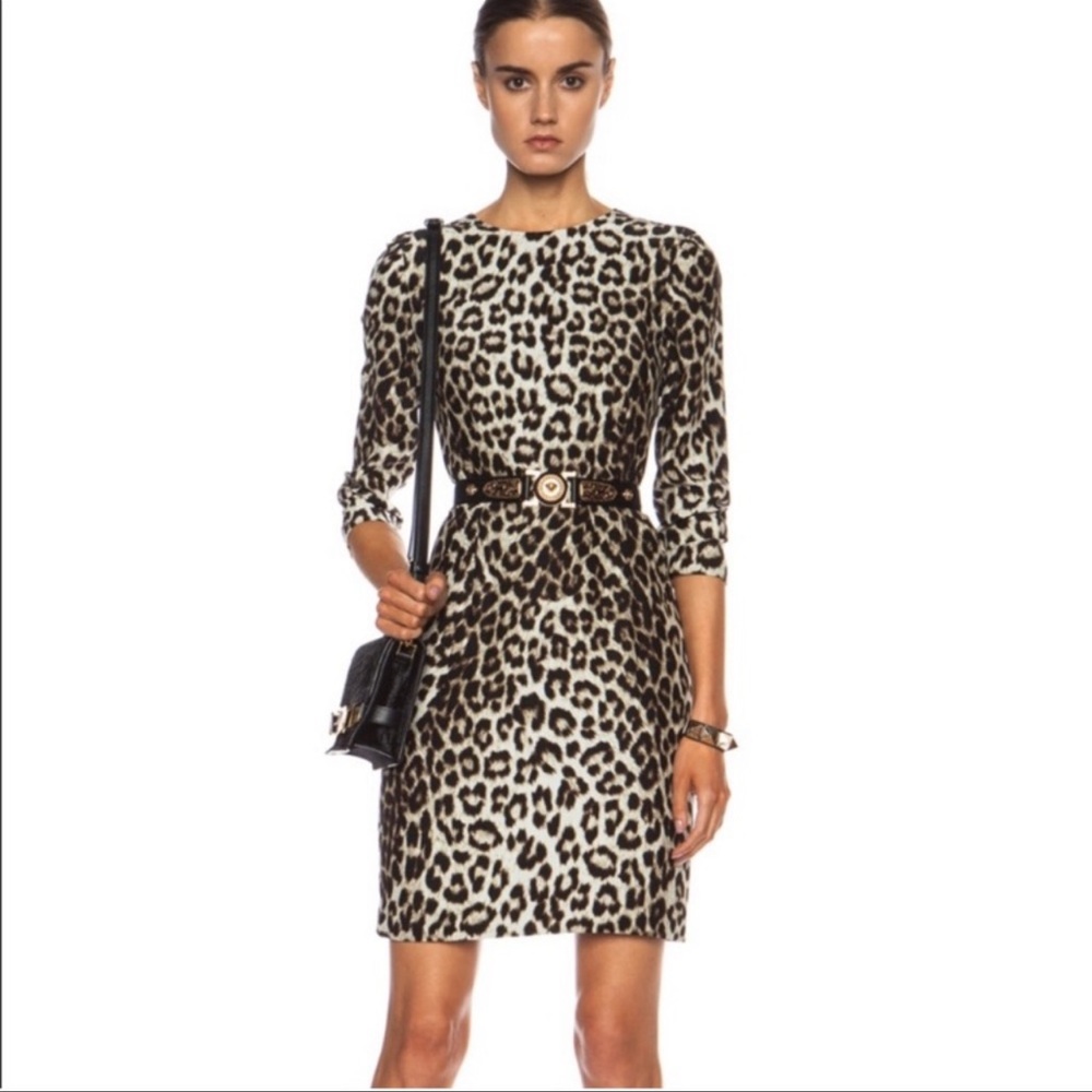 NWT Rag & Bone Leopard Print Silk Mini Dress | Size 6